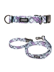 Komplet obojek a vodítko pro psy Lumberpup Everyday Smoke Komplet obojek a vodítko pro psy Lumberpup Everyday Smoke