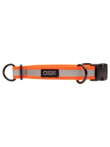 Obojek pro psy Go Dog Glo Dry Orange Reflective Obojek pro psy Go Dog Glo Dry Orange Reflective
